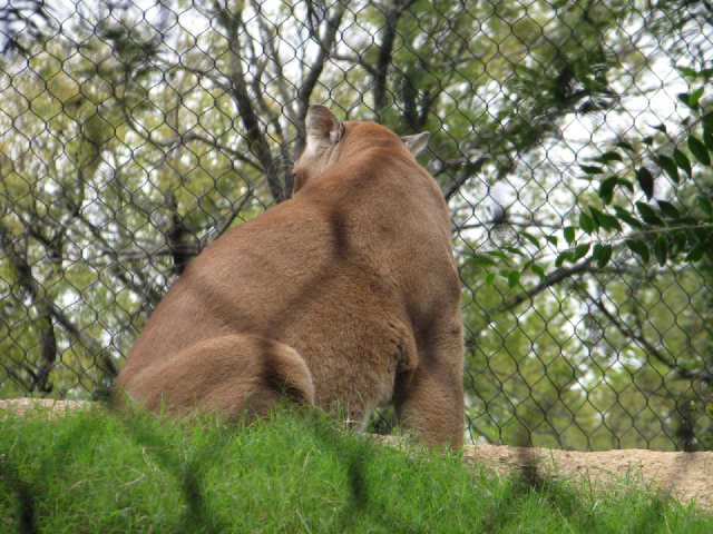 20100206 522.JPG